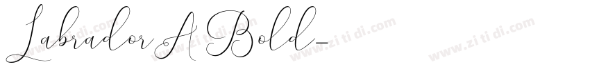 LabradorA Bold字体转换